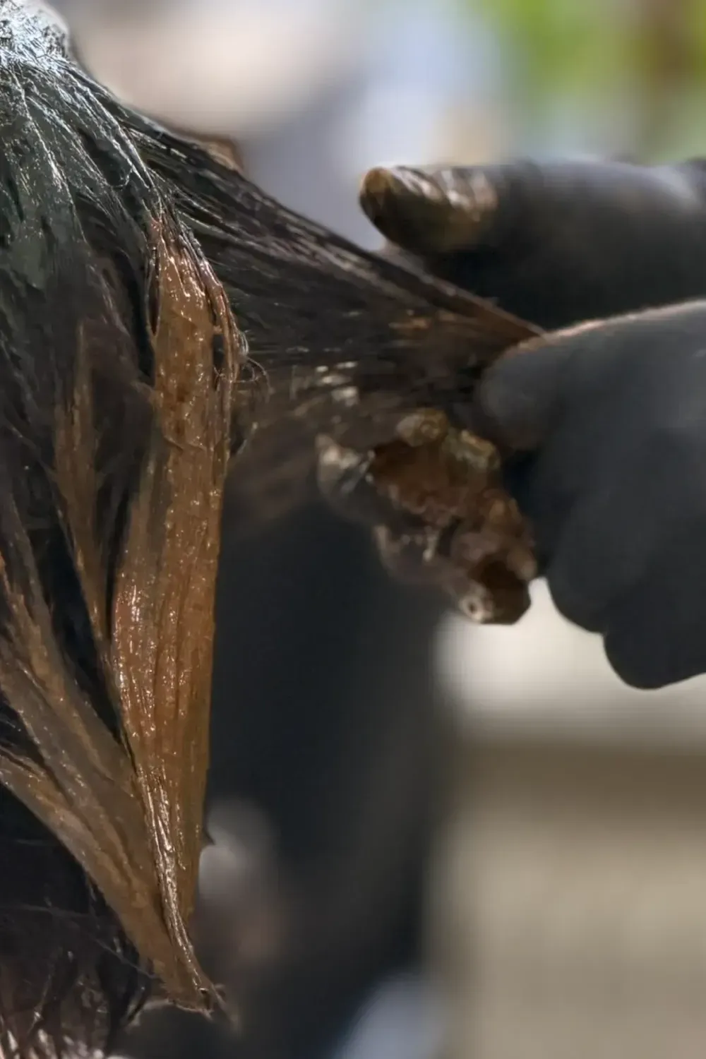 EcoGreen Coiffure: Só planta no cabelo, em Genebra