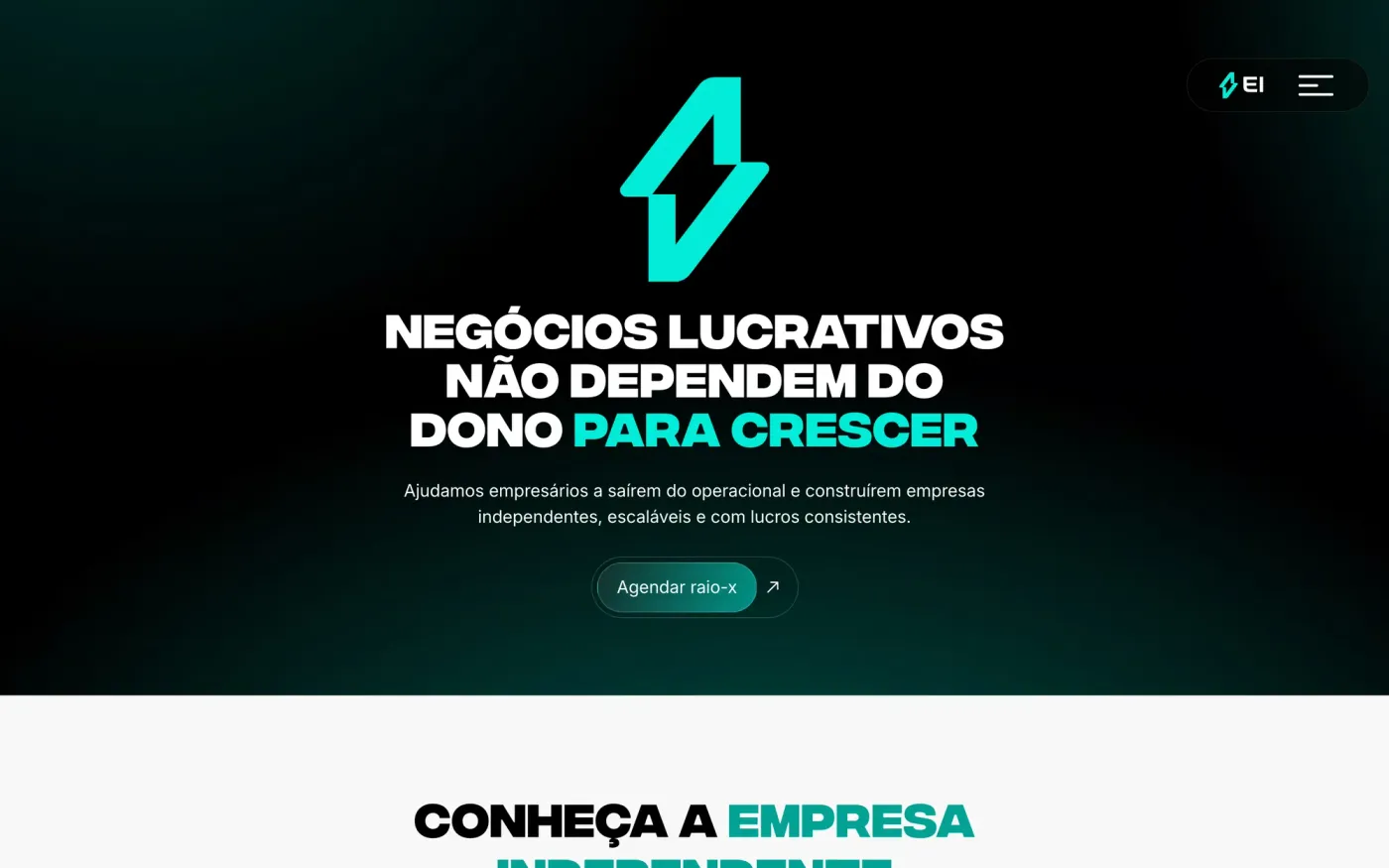 cuidado contínuo de site WordPress: página inicial, Empresa Independente