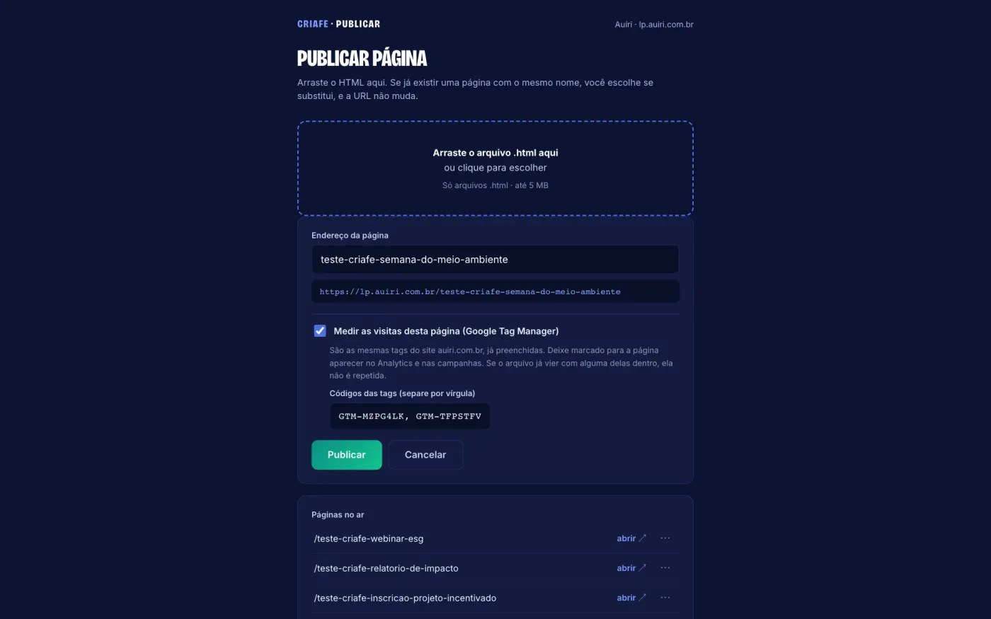 painel para publicar páginas feitas com IA: página inicial, Auíri
