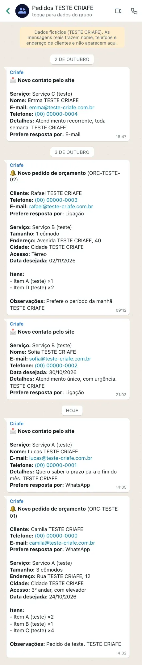 Página inicial completa no celular, Empresa de serviços